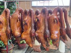 -刘卜卤鹅(全国首店)