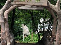 -洛阳花果山景区