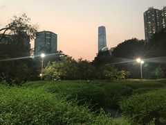 -九龙公园