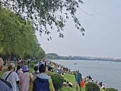 -丁香湖公园