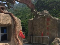 -大岭沟猕猴桃谷风景区