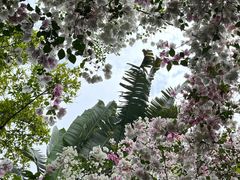 -深圳国际园林花卉博览园