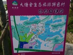 -大塘金香草谷