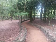 -汉拿树木园