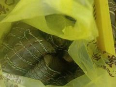 -召稼楼永茂昌粽子大王