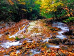 -光雾山旅游景区