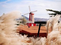 -羊亭河湿地公园