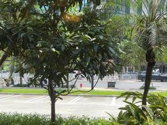 -勝記酒家·37年老字号·经典粤菜(荔枝公园店)