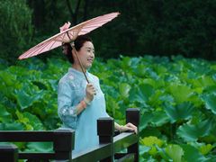 -合肥滨湖国家森林公园