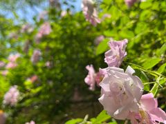 -窨子山古文化遗址