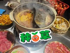 -郭铁柱·泥炉老火锅(江北龙湖天街店)