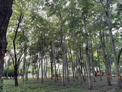 -古塔公园