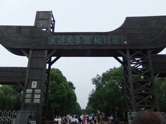 溱湖国家湿地公园-溱湖国家湿地公园