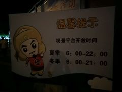 -演武大桥观景平台