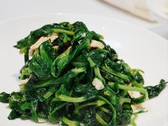 -四季民福烤鸭店(故宫店)