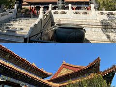 -颐和园