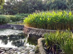 -成都市活水公园