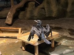 -绿色星球动物主题公园