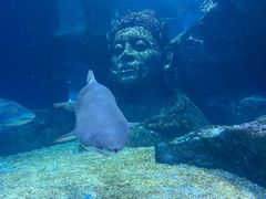 -暹罗海洋世界
