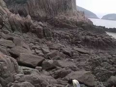 -花岙岛