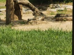 -北京野生动物园