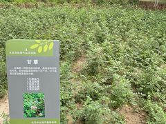 -绿堤公园