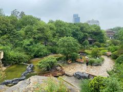 -上海吴淞炮台湾国家湿地公园