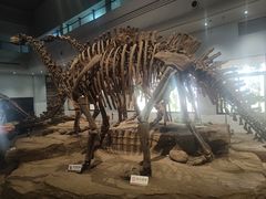 -自贡恐龙博物馆
