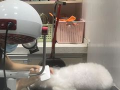 -宠颐生动物医院·小陆分院