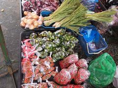 -仙本那小型鱼市