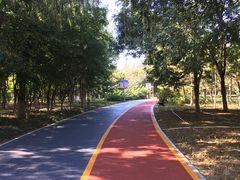 -大兴滨河森林公园