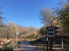 -北京张裕爱斐堡酒庄