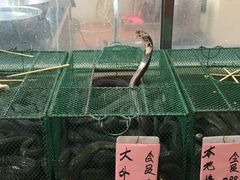 -荔城生鲜盛宴(番禺旗舰店)