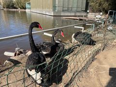 -春晖园度假酒店温泉