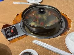 -濠轩阁特色生蚝火锅总店