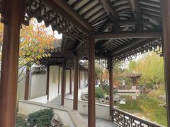 -秋霞圃
