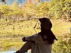 -田野绿世界