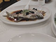 -寻味顺德·南记酒家·传统顺德菜·鱼生(广源路店)