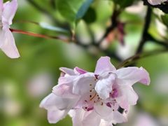 -杭州城北体育公园