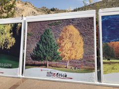 -可可托海景区
