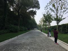 -北京张裕爱斐堡酒庄