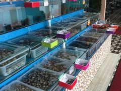 -港畔赶海蒸汽海鲜烧烤自助(仙螺岛店)
