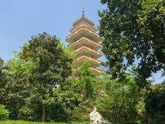 -鹅岭公园瞰胜楼