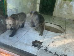 -荆州中山公园动物园