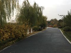 -徐州博顿温德姆酒店(高铁东站店)