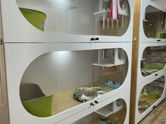 -青奢宠物·青奢猫舍