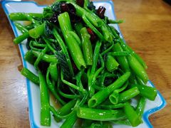 -功夫兔