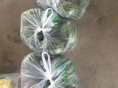 -庞各庄翠芳园西瓜蔬菜基地采摘园