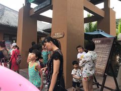 -亚马逊丛林水乐园