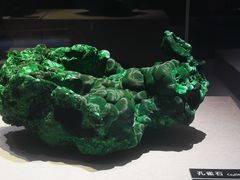 -河南自然博物馆